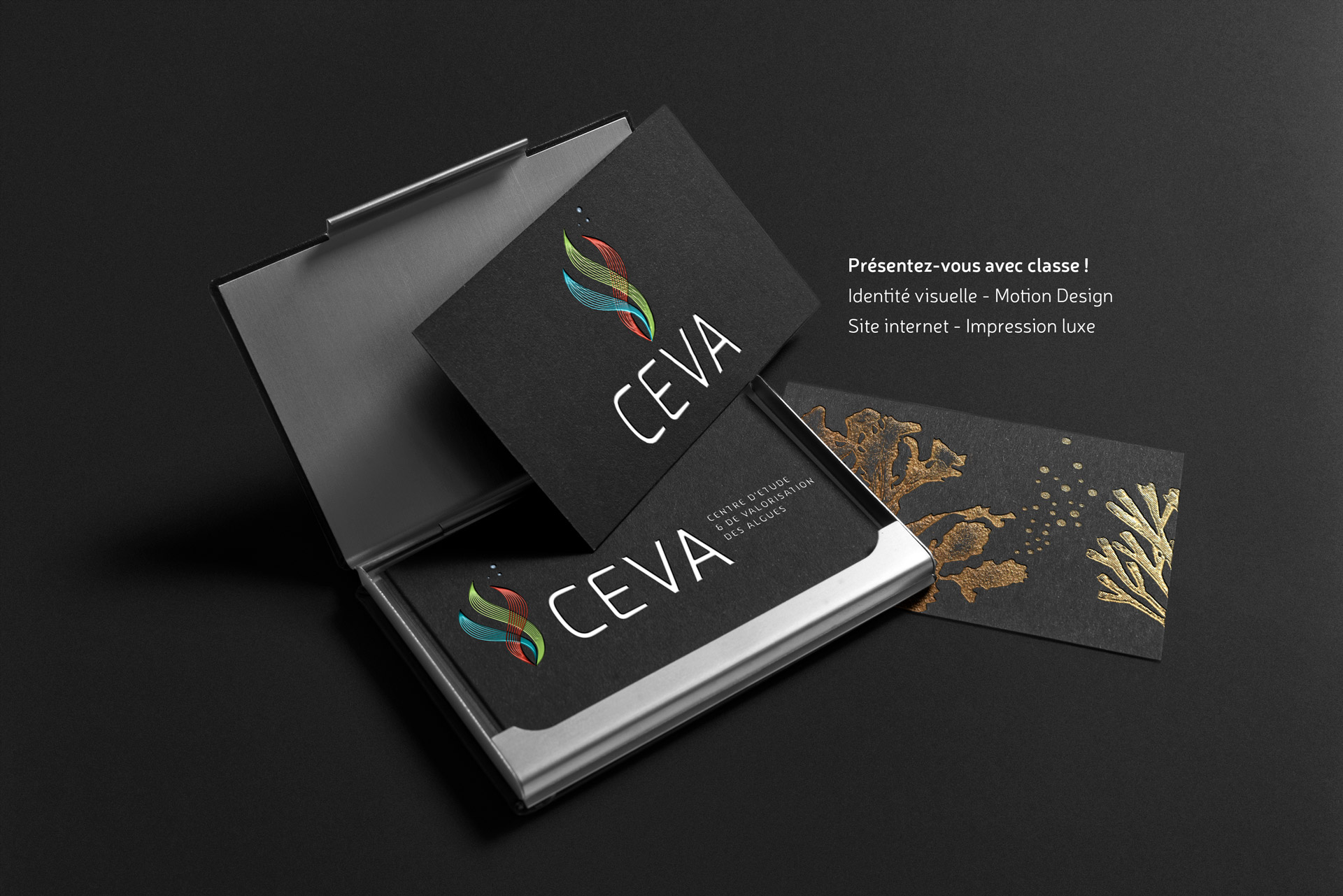 Logo-CEVA-by Coqueliko