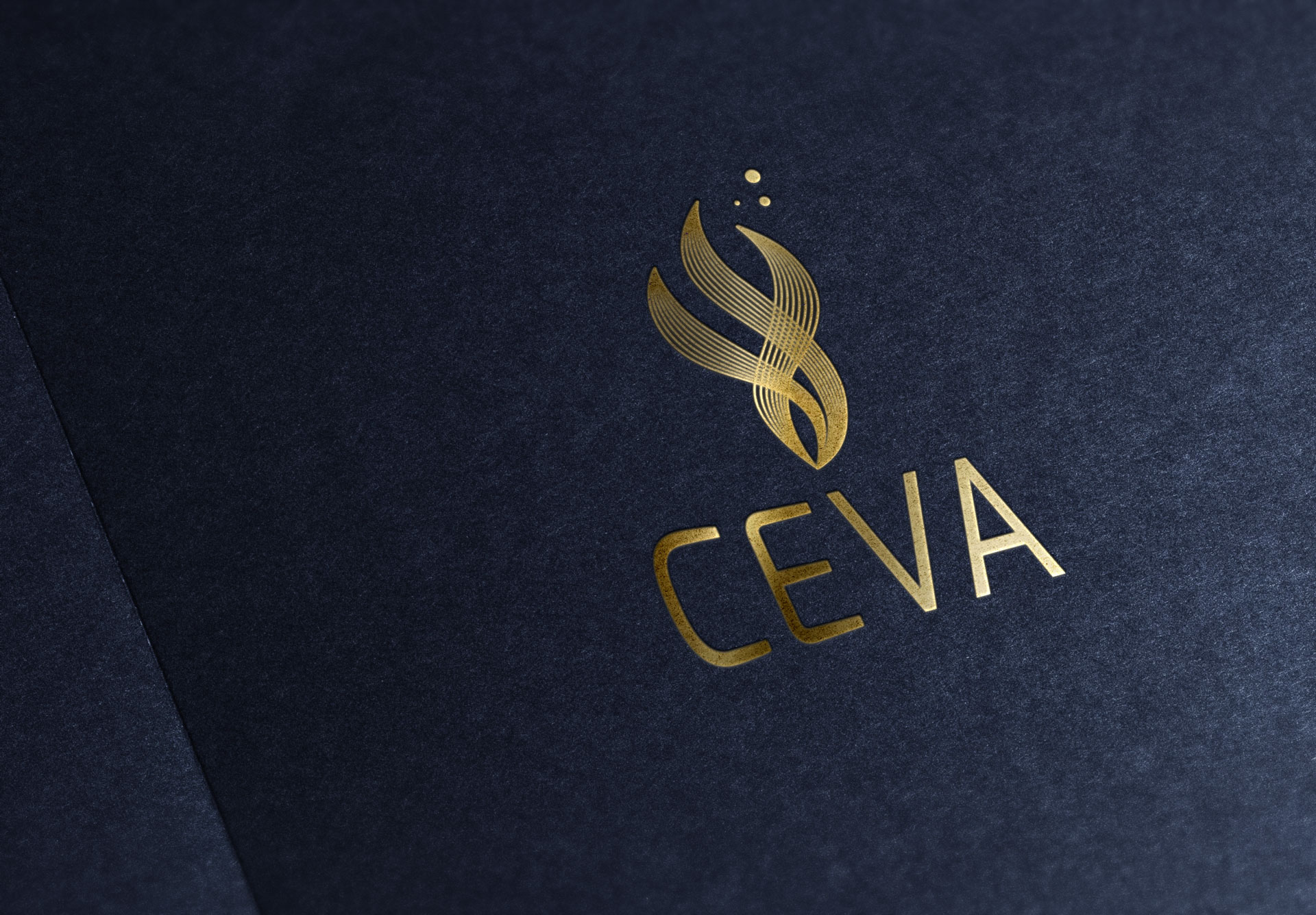 Logo-CEVA-by-Coqueliko