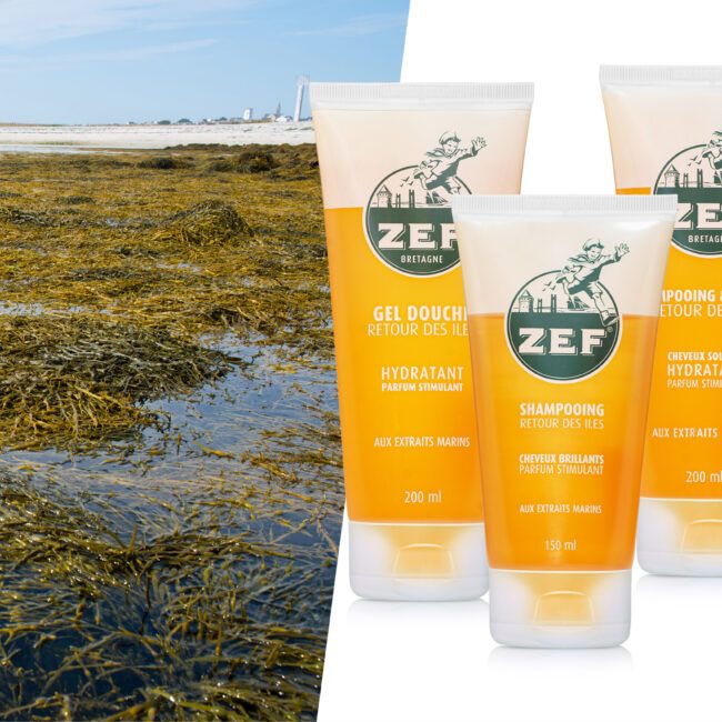 Web design de la fiche produit e-commerce ZEF (vêtements) avec éléments de réassurance