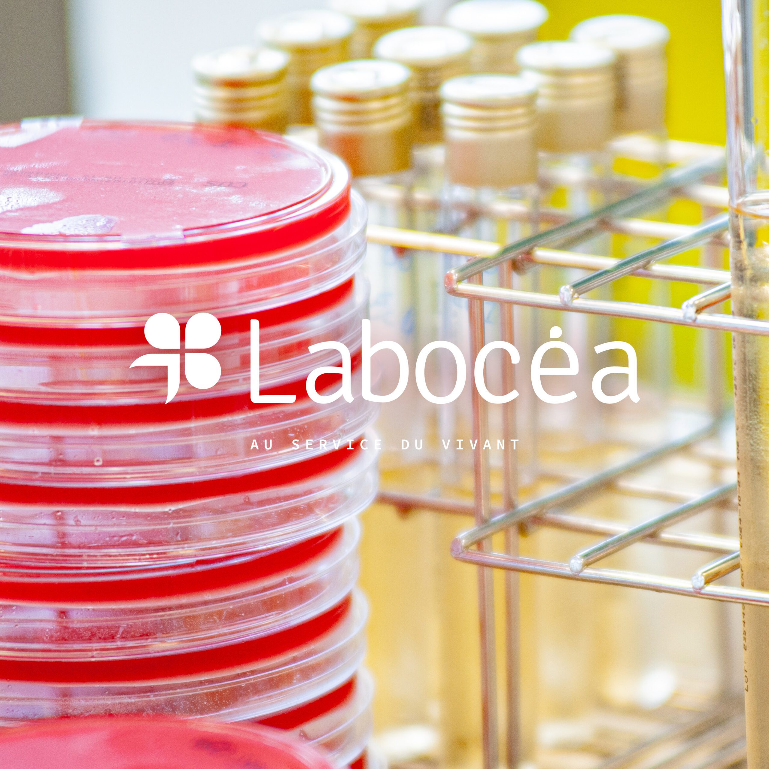 Photographie professionnelle en laboratoire Labocéa pour communication institutionnelle